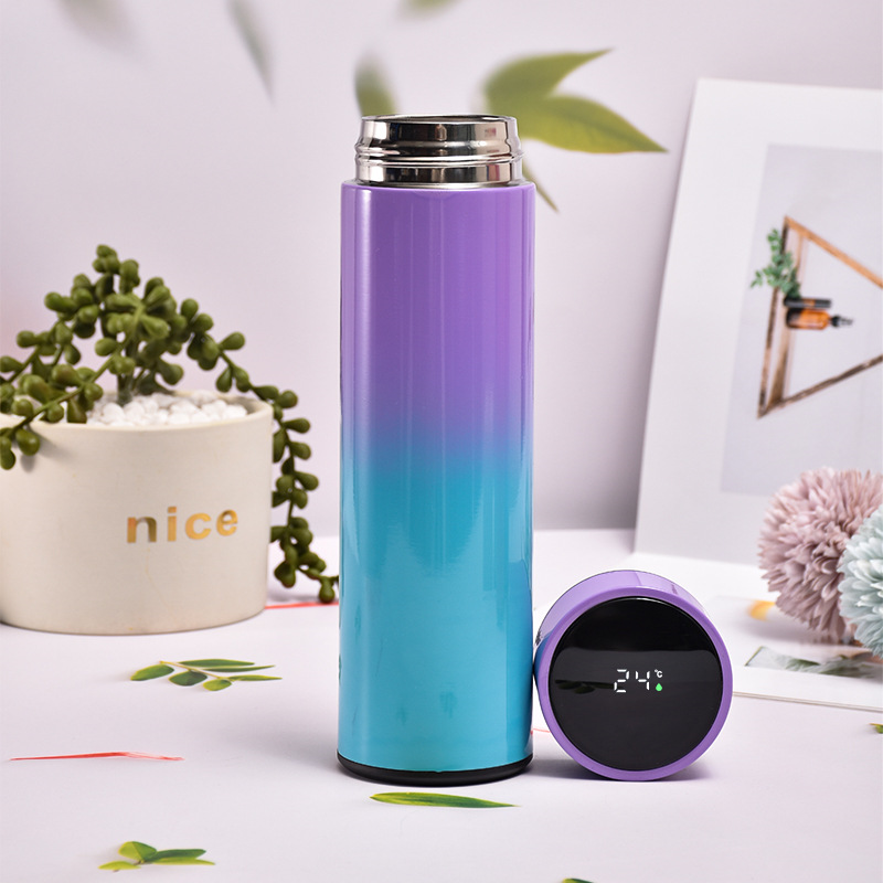 Termo digital 500ml