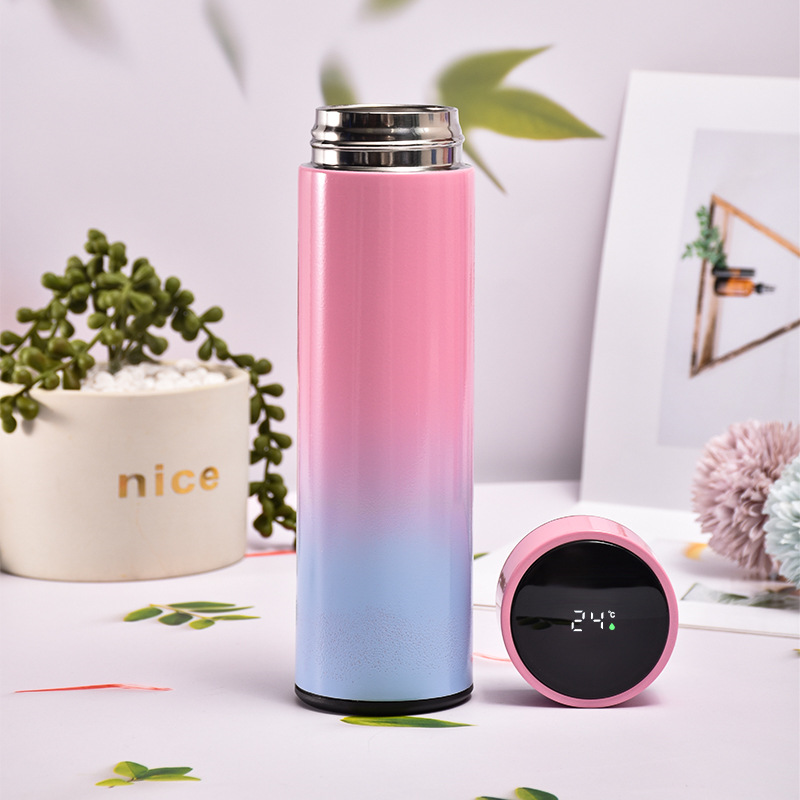 Termo digital 500ml